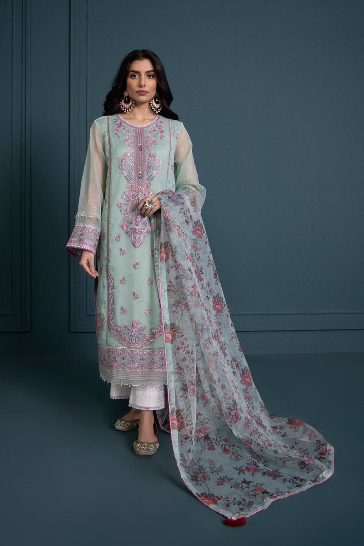 Sapphire 2 Piece - Embroidered Organza Suit