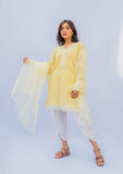 Naaz Couture - Pastel Yellow Chikan Shirt with Slip