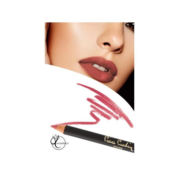 Pierre Cardin Paris - Waterproof Lipliner - Terra Coffee 390