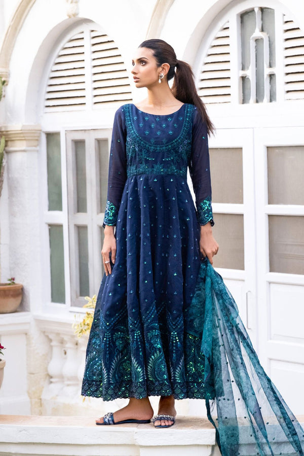 Sapphire- 2 Piece - Embroidered Karandi Suit