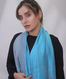 Bagallery Exclusive 3D Printed Viscose Winter Stole Sky Blue