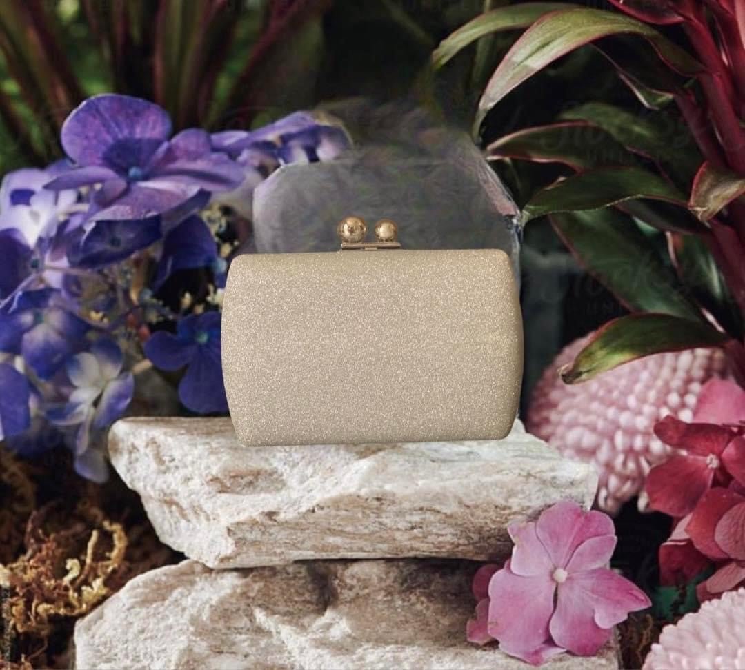 Rabbiya Bags- Silver Moonlight Clutch – Bagallery