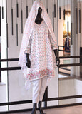SNSC Embroidered Cotton Stitched 3 Piece Suit - SNSC24FE FRK05-4