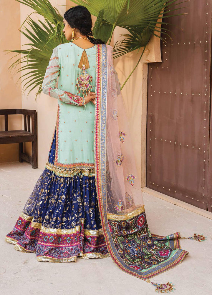 Dhanak- By Anaya Embroidered Net Suits- Naaz- 01