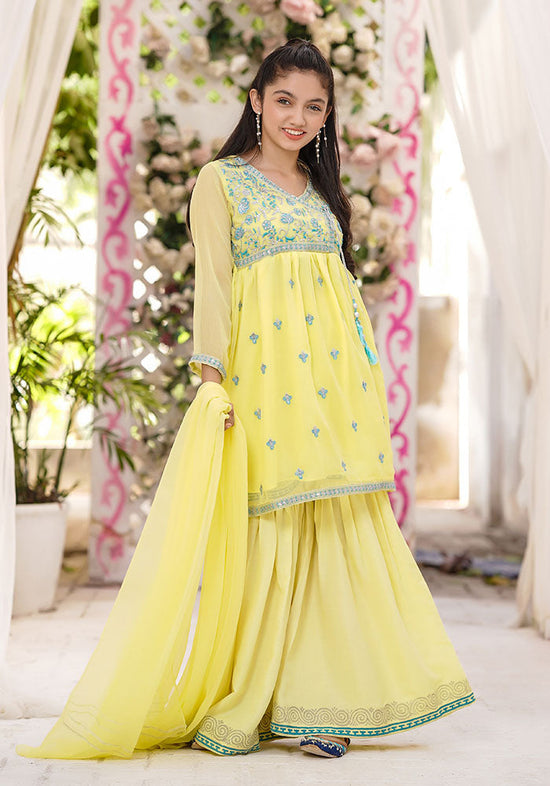 Ochre - Chiffon Embroidered 3 Pc Suit