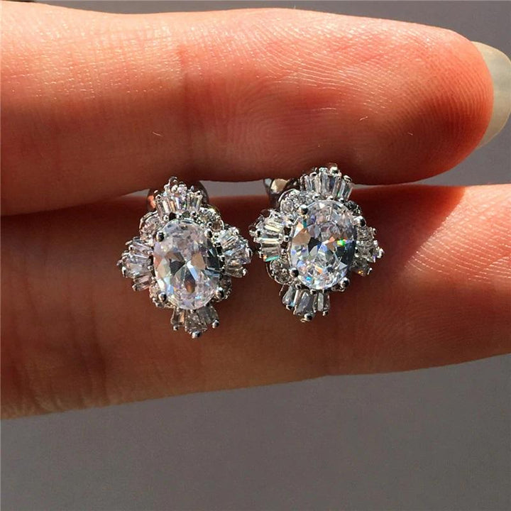 Zardi- AAA Zircon Earring - Silver - AE159